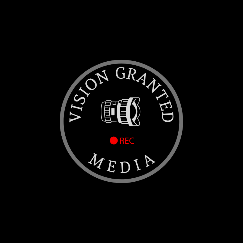 visiongrantedmedia.com